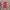 Celana Baggy OOTJ Redwashed photo 2