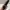 Revlon Super Lustrous Lipstick shade 745 Love Is On photo 1