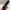 Revlon Super Lustrous Lipstick Shade 745 Love Is On
