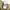 Vintage Y2K Casual pants Pria tan photo 8