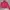 Jaket Sport Running Tracktop Puma Pink photo 1