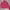 Jaket Sport Running Tracktop Puma Pink