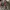 WHO AU - Denin Jacket Type I photo 7