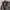 WHO AU - Denin Jacket Type I photo 4