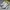 Vans skate Curren Caples white photo 2