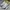 Vans Skate Curren Caples White
