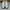 Vans skate Curren Caples white photo 1