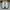 Vans Skate Curren Caples White