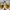 Vans skate Curren Caples white photo 4