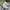 Vans skate Curren Caples white photo 3