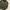 Buckaroo Grunge Indie Parka Pria green photo 4