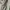 Converse Futurist Hoody Pria gray photo 3