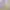 Soft purple t-shirt photo 4