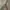 Vintage Green dress photo 5
