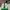 Lacoste CARNABY PRO BL23 full white photo 2