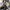 Dambi cardigan rajut wanita oversize premium / korean style  photo 3