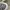 Vans fog 42 photo 7