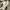 Vans fog 42 photo 6