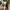 Vans fog 42 photo 5