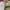 Vans fog 42 photo 4