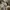 Vans fog 42 photo 1