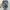 Zephyr D'Urban Vintage Streetwear Hat Pria black gray photo 4