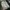 Nike Air Jordan 1 Low Paris Second Original photo 1
