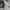 Nike Air Jordan 1 Low Paris Second Original photo 5