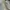 Nike Air Jordan 1 Low Paris Second Original photo 2