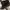 Gucci 'Hysteria' tote bag - Dark Brown Authentic photo 5