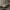 Gucci 'Hysteria' tote bag - Dark Brown Authentic photo 4