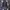 Adidas Casual Trench coat Pria black photo 2