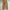 Basic relaxed longpants tan, Loose Fit photo 7