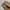 Wearth longpants brown soft jeans, Loose Fit photo 8
