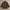 WORMLAND ENGLAND VINTAGE CASUAL LONG LEATHER JACKET photo 1