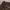WORMLAND ENGLAND VINTAGE CASUAL LONG LEATHER JACKET photo 4