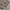 Coen JPN chino longpants khakis, Regular Straight Fit photo 9
