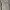 Gung Ho Military Bush Fatigue Pants photo 10