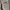 Gung Ho Military Bush Fatigue Pants photo 8