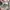 Hnm floral pattern sukajan shirt  photo 4