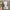 Hnm floral pattern sukajan shirt  photo 3