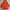 RED PARKAS