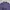 PURPLE COAT