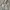 Japanese brand Vintage Y2K Denim jacket Pria white photo 2