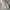 Japanese brand Vintage Y2K Denim jacket Pria white photo 3