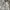 Japanese brand Vintage Y2K Denim jacket Pria white photo 4