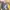 double layer rework ren photo 4