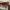 BRAND NEW MANGO SUNGLASSES WITH TAG photo 3