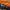 Kaos Outdoor Millet Baselayer Orange Hiking Trekking Kaos Ol photo 2