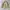 H&M Streetwear Vintage Windbreaker Pria Cream